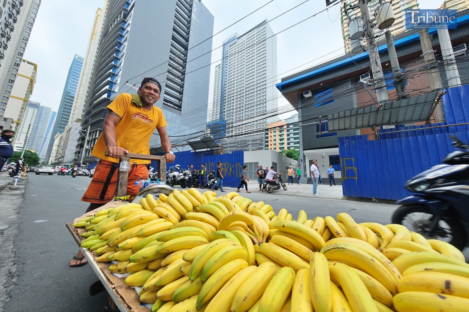 TRIBUNE-Bananas